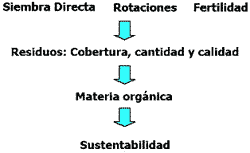 Agricultura sustentable y materia orgánica del suelo - Image 2
