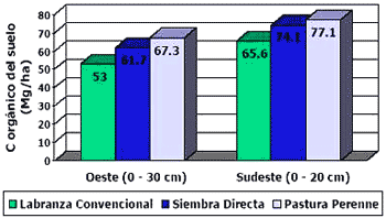Agricultura sustentable y materia orgánica del suelo - Image 4