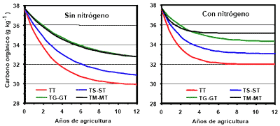 Agricultura sustentable y materia orgánica del suelo - Image 10