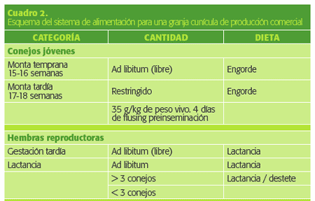 Alimentos para Conejos. Aspectos básicos de alimentación para la producción intensiva - Image 3