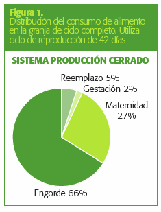Alimentos para Conejos. Aspectos básicos de alimentación para la producción intensiva - Image 2