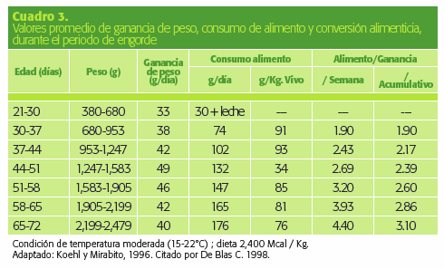 Alimentos para Conejos. Aspectos básicos de alimentación para la producción intensiva - Image 5