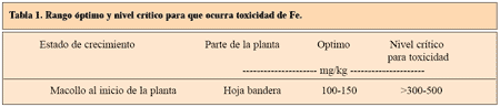 Toxicidad de hierro en arroz - Image 5