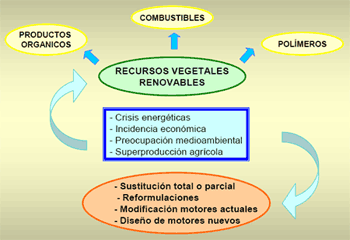 Utilización de aceites vegetales usados para la obtención de Biodiesel - Image 1