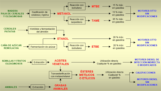 Utilización de aceites vegetales usados para la obtención de Biodiesel - Image 2