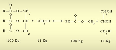 Utilización de aceites vegetales usados para la obtención de Biodiesel - Image 8