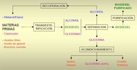 Utilización de aceites vegetales usados para la obtención de Biodiesel - Image 11
