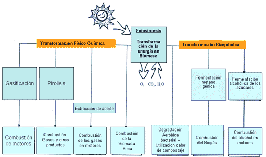 Diseño de Biodigestores - Image 1