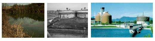 Diseño de Biodigestores - Image 3