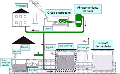 Diseño de Biodigestores - Image 15
