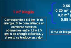 Diseño de Biodigestores - Image 16