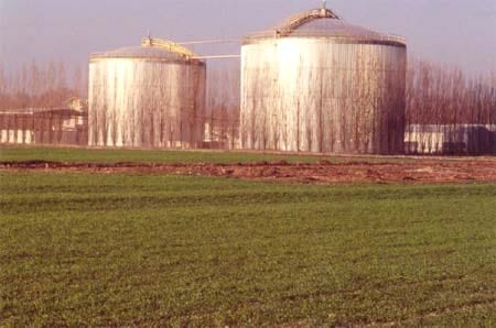 Produccion de Biogas – Plantas Centralizadas y Simplificadas - Image 9