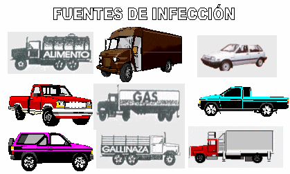 ¿Existe conciencia de lo que es la Bioseguridad? (3ª Parte) - Image 1