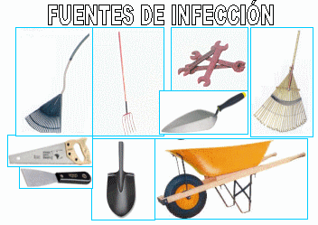 ¿Existe conciencia de lo que es la Bioseguridad? (3ª Parte) - Image 8