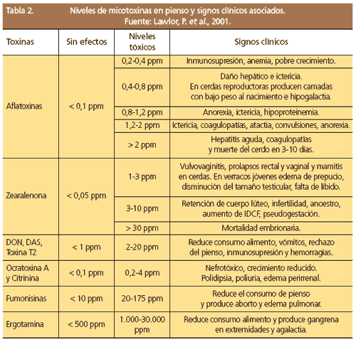 Micotoxinas y su impacto en la producción porcina - Image 3