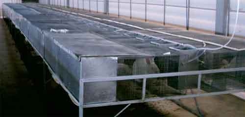 Proyecto Integral de granja de producción, Centro de Genética Aplicada y Frigorífico Abatedor - Image 20