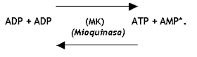 Fisiología del Ejercicio (Laboratorios Burnet) - Image 1