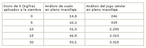Necesidad de azufre en los cultivos - Image 4