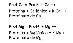 Calcio, Fósforo, Vitamina D y Parathormona. - Image 5