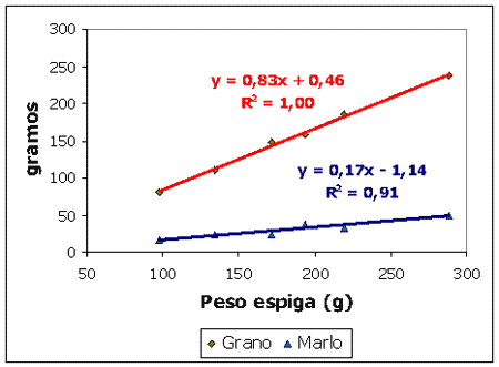 Calidad nutritiva de la planta de maíz para silaje - Image 4