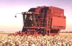 Cosechadoras de Algodón Case IH Cotton Express - Image 1
