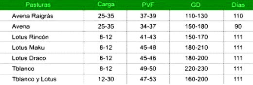 Engorde de corderos pesados. Las claves del negocio - Image 2