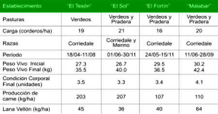 Engorde de corderos pesados. Las claves del negocio - Image 3
