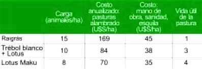 Engorde de corderos pesados. Las claves del negocio - Image 7