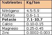 Cultivos con alta demanda de Potasio (K) - Image 4