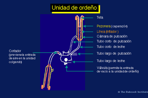 Funcionamiento y Evaluación de Máquinas de Ordeño y su Repercusión en la Mastitis Bovina - Image 2