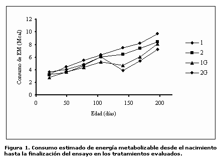 Suplementación de becerros de destete temprano con Gliricidia sepium y concentrado - Image 4