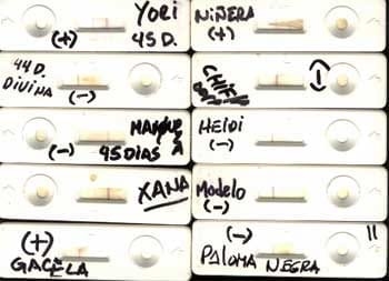 Prueba diagnóstica de preñez equina - Image 2