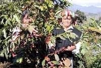 México. El proceso hacia la agroecología de las organizaciones sociales en Chiapas - Image 3