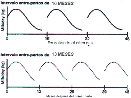 Cómo medir la Eficiencia Reproductiva de su Hato Lechero - Image 1