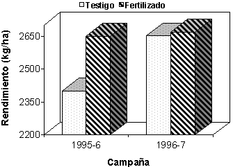 Importancia del Boro en el Cultivo del Girasol - Image 1
