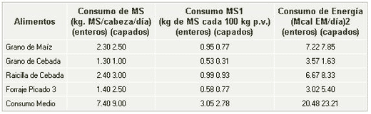 Engorde a corral de terneros Holando enteros y capados con forraje picado y suplementación energética y proteica - Image 3