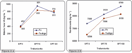 Evaluación de la Inoculación con Pseudomonas en Maíz bajo diferentes Ambientes de Fertilidad - Image 3