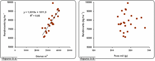 Evaluación de la Inoculación con Pseudomonas en Maíz bajo diferentes Ambientes de Fertilidad - Image 5