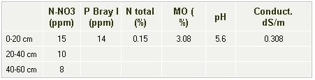 Evaluación de la fertilización química y biológica en trigo - Image 2