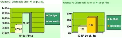 Incremento de la materia orgánica radicular en los cultivos de Maíz (Zea mays) y Sorgo Granífero (Sorghum bicolor) inoculados con Azopirillum Brasiliense - Image 2
