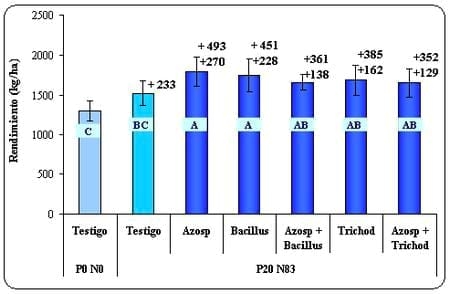 Inoculación con promotores de crecimiento en trigo. Evaluación de microorganismos tradicionales y nuevos desarrollos - Image 1