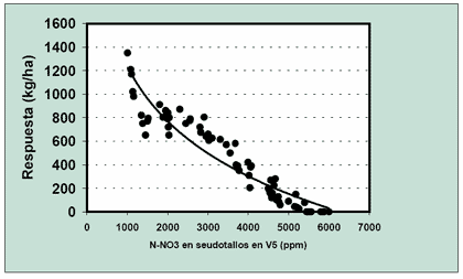 Consideraciones sobre la fertilización nitrogenada de trigo en la región central de Santa Fe - Image 10