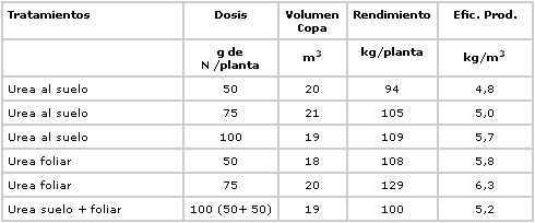Fertilización Foliar con Urea en Limoneros - Image 3
