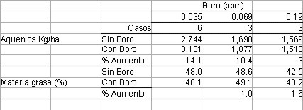 Actualizaciones en fertilización de girasol - Image 4