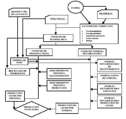 Producción de Leche a Pastoreo en el subtrópico con ganado cruza Holando Cebú: desarrollo y validación de un modelo de simulación - Image 1