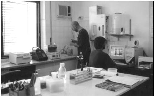 Utilización de Marcadores Moleculares en el Mejoramiento de Trigo - Genes de Calidad y Resistencia a Enfermedades - Image 7