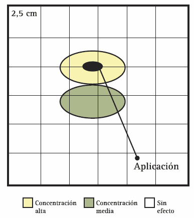 Manejo nutricional de cultivos de girasol de alto rendimiento - Image 1