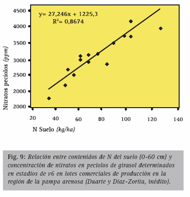 Manejo nutricional de cultivos de girasol de alto rendimiento - Image 14