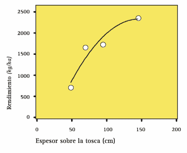 Girasol. Requerimientos nutricionales y ambientales - Image 3