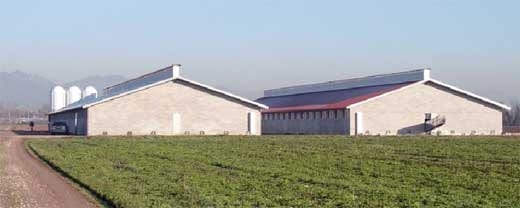 Granja Porcina En Confinamiento (Sistemas Constructivos con Ventilación Natural) - Image 1